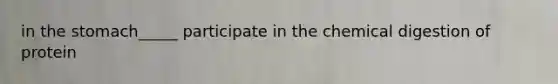 in the stomach_____ participate in the chemical digestion of protein