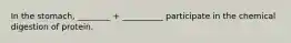 In the stomach, ________ + __________ participate in the chemical digestion of protein.