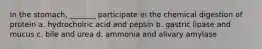 In the stomach, _______ participate in the chemical digestion of protein a. hydrocholric acid and pepsin b. gastric lipase and mucus c. bile and urea d. ammonia and alivary amylase