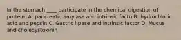 In the stomach,____ participate in the chemical digestion of protein. A. pancreatic amylase and intrinsic facto B. hydrochloric acid and pepsin C. Gastric lipase and intrinsic factor D. Mucus and cholecystokinin