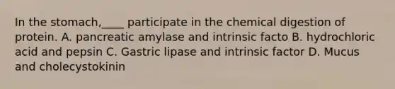 In <a href='https://www.questionai.com/knowledge/kLccSGjkt8-the-stomach' class='anchor-knowledge'>the stomach</a>,____ participate in the chemical digestion of protein. A. pancreatic amylase and intrinsic facto B. hydrochloric acid and pepsin C. Gastric lipase and intrinsic factor D. Mucus and cholecystokinin