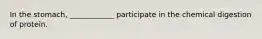 In the stomach, ____________ participate in the chemical digestion of protein.