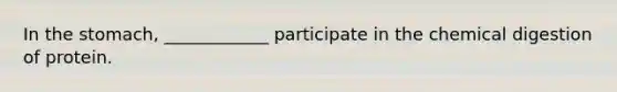 In the stomach, ____________ participate in the chemical digestion of protein.