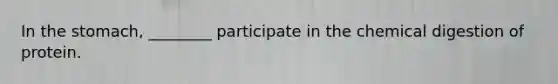 In the stomach, ________ participate in the chemical digestion of protein.