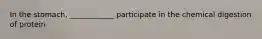 In the stomach, ____________ participate in the chemical digestion of protein