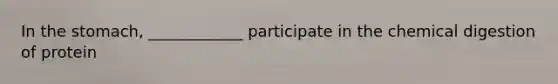 In the stomach, ____________ participate in the chemical digestion of protein