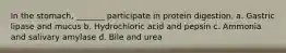 In the stomach, _______ participate in protein digestion. a. Gastric lipase and mucus b. Hydrochloric acid and pepsin c. Ammonia and salivary amylase d. Bile and urea