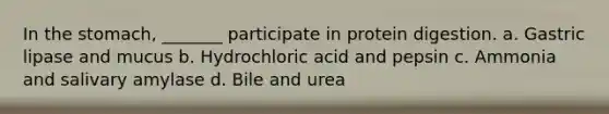 In the stomach, _______ participate in protein digestion. a. Gastric lipase and mucus b. Hydrochloric acid and pepsin c. Ammonia and salivary amylase d. Bile and urea