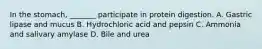 In the stomach, _______ participate in protein digestion. A. Gastric lipase and mucus B. Hydrochloric acid and pepsin C. Ammonia and salivary amylase D. Bile and urea