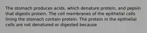 The stomach produces acids, which denature protein, and pepsin that digests protein. The cell membranes of the epithelial cells lining the stomach contain protein. The protein in the epithelial cells are not denatured or digested because