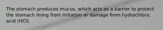 The stomach produces mucus, which acts as a barrier to protect the stomach lining from irritation or damage from hydrochloric acid (HCl).