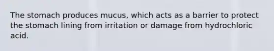 <a href='https://www.questionai.com/knowledge/kLccSGjkt8-the-stomach' class='anchor-knowledge'>the stomach</a> produces mucus, which acts as a barrier to protect the stomach lining from irritation or damage from hydrochloric acid.