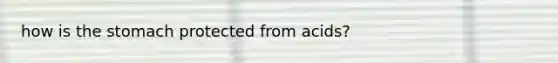 how is the stomach protected from acids?