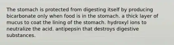 The stomach is protected from digesting itself by producing bicarbonate only when food is in the stomach. a thick layer of mucus to coat the lining of the stomach. hydroxyl ions to neutralize the acid. antipepsin that destroys digestive substances.