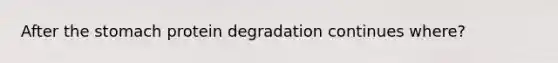 After the stomach protein degradation continues where?
