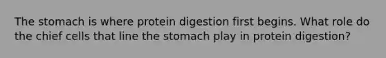 The stomach is where protein digestion first begins. What role do the chief cells that line the stomach play in protein digestion?