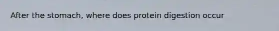 After the stomach, where does protein digestion occur