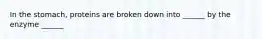 In the stomach, proteins are broken down into ______ by the enzyme ______