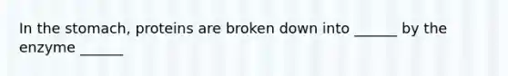 In the stomach, proteins are broken down into ______ by the enzyme ______