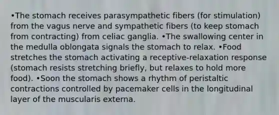 •The stomach receives parasympathetic fibers (for stimulation) from the vagus nerve and sympathetic fibers (to keep stomach from contracting) from celiac ganglia. •The swallowing center in the medulla oblongata signals the stomach to relax. •Food stretches the stomach activating a receptive-relaxation response (stomach resists stretching briefly, but relaxes to hold more food). •Soon the stomach shows a rhythm of peristaltic contractions controlled by pacemaker cells in the longitudinal layer of the muscularis externa.