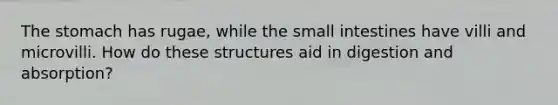 <a href='https://www.questionai.com/knowledge/kLccSGjkt8-the-stomach' class='anchor-knowledge'>the stomach</a> has rugae, while <a href='https://www.questionai.com/knowledge/kt623fh5xn-the-small-intestine' class='anchor-knowledge'>the small intestine</a>s have villi and microvilli. How do these structures aid in digestion and absorption?