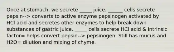 Once at stomach, we secrete _____ juice. ______ cells secrete pepsin--> converts to active enzyme pepsinogen activated by HCl acid and secretes other enzymes to help break down substances of gastric juice. _____ cells secrete HCl acid & intrinsic factor= helps convert pepsin--> pepsinogen. Still has mucus and H2O= dilution and mixing of chyme.