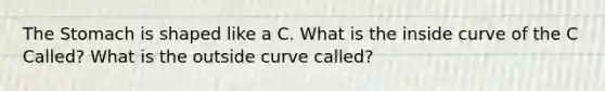 The Stomach is shaped like a C. What is the inside curve of the C Called? What is the outside curve called?