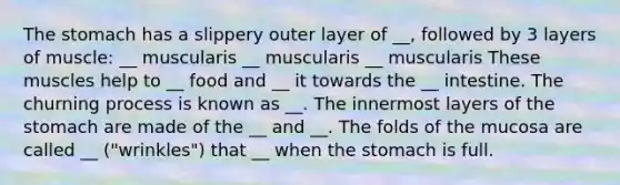 The stomach has a slippery outer layer of __, followed by 3 layers of muscle: __ muscularis __ muscularis __ muscularis These muscles help to __ food and __ it towards the __ intestine. The churning process is known as __. The innermost layers of the stomach are made of the __ and __. The folds of the mucosa are called __ ("wrinkles") that __ when the stomach is full.