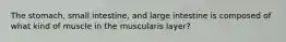 The stomach, small intestine, and large intestine is composed of what kind of muscle in the muscularis layer?