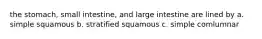 the stomach, small intestine, and large intestine are lined by a. simple squamous b. stratified squamous c. simple comlumnar