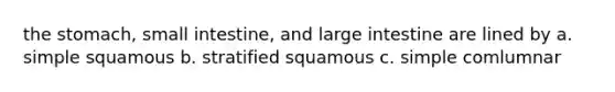 the stomach, small intestine, and large intestine are lined by a. simple squamous b. stratified squamous c. simple comlumnar