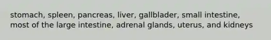 stomach, spleen, pancreas, liver, gallblader, small intestine, most of the large intestine, adrenal glands, uterus, and kidneys