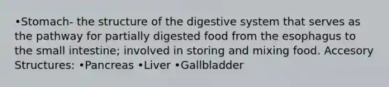 •Stomach- the structure of the digestive system that serves as the pathway for partially digested food from the esophagus to the small intestine; involved in storing and mixing food. Accesory Structures: •Pancreas •Liver •Gallbladder