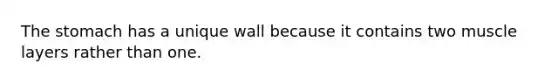 The stomach has a unique wall because it contains two muscle layers rather than one.