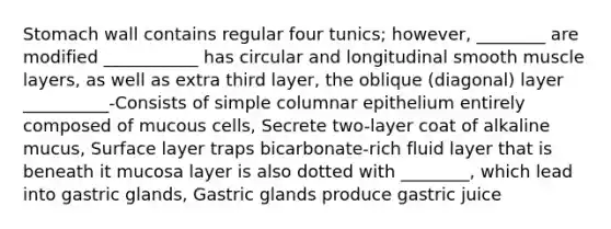 Stomach wall contains regular four tunics; however, ________ are modified ___________ has circular and longitudinal smooth muscle layers, as well as extra third layer, the oblique (diagonal) layer __________-Consists of simple columnar epithelium entirely composed of mucous cells, Secrete two-layer coat of alkaline mucus, Surface layer traps bicarbonate-rich fluid layer that is beneath it mucosa layer is also dotted with ________, which lead into gastric glands, Gastric glands produce gastric juice