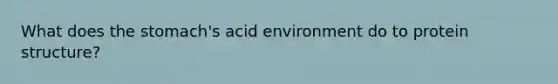 What does the stomach's acid environment do to protein structure?