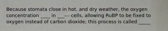 Because stomata close in hot. and dry weather, the oxygen concentration ____ in ___--- cells, allowing RuBP to be fixed to oxygen instead of carbon dioxide; this process is called _____