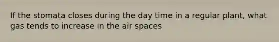 If the stomata closes during the day time in a regular plant, what gas tends to increase in the air spaces