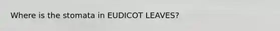 Where is the stomata in EUDICOT LEAVES?