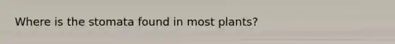 Where is the stomata found in most plants?