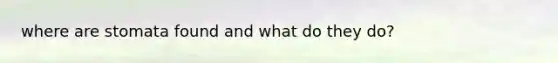 where are stomata found and what do they do?