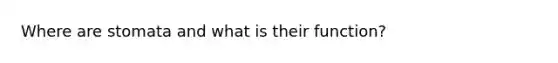 Where are stomata and what is their function?