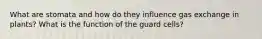 What are stomata and how do they influence gas exchange in plants? What is the function of the guard cells?