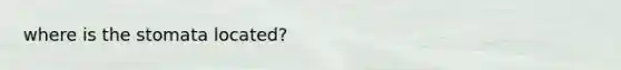 where is the stomata located?