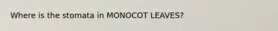 Where is the stomata in MONOCOT LEAVES?