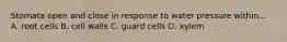 Stomata open and close in response to water pressure within... A. root cells B. cell walls C. guard cells D. xylem