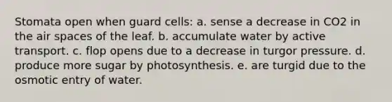 Stomata open when guard cells: a. sense a decrease in CO2 in the air spaces of the leaf. b. accumulate water by active transport. c. flop opens due to a decrease in turgor pressure. d. produce more sugar by photosynthesis. e. are turgid due to the osmotic entry of water.