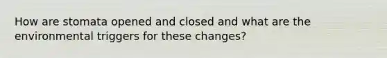 How are stomata opened and closed and what are the environmental triggers for these changes?