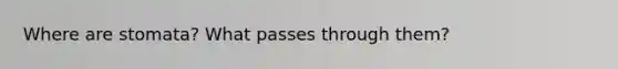 Where are stomata? What passes through them?