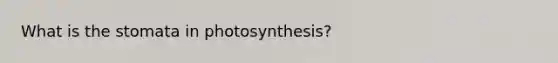 What is the stomata in photosynthesis?